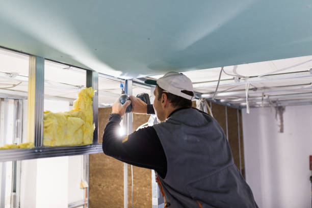 Best Insulation Removal  in White Plains, NC
